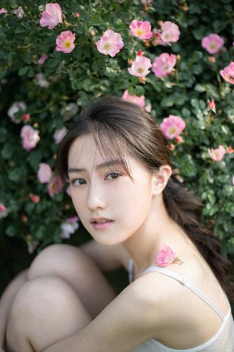 2019中文在线观看