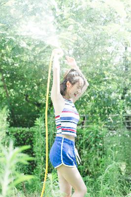 野花香电视剧在线观看高清版免费