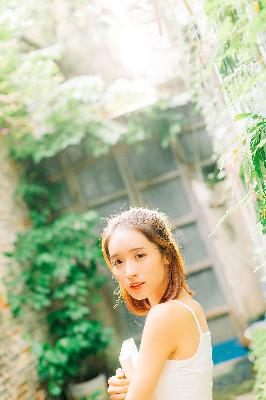 三人成全免费观看电视剧高清一共多少集啊	336